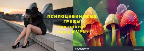 дмт Пестово